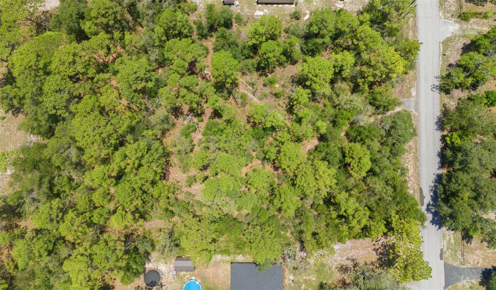 Image 7 of 8 For Greensboro Street