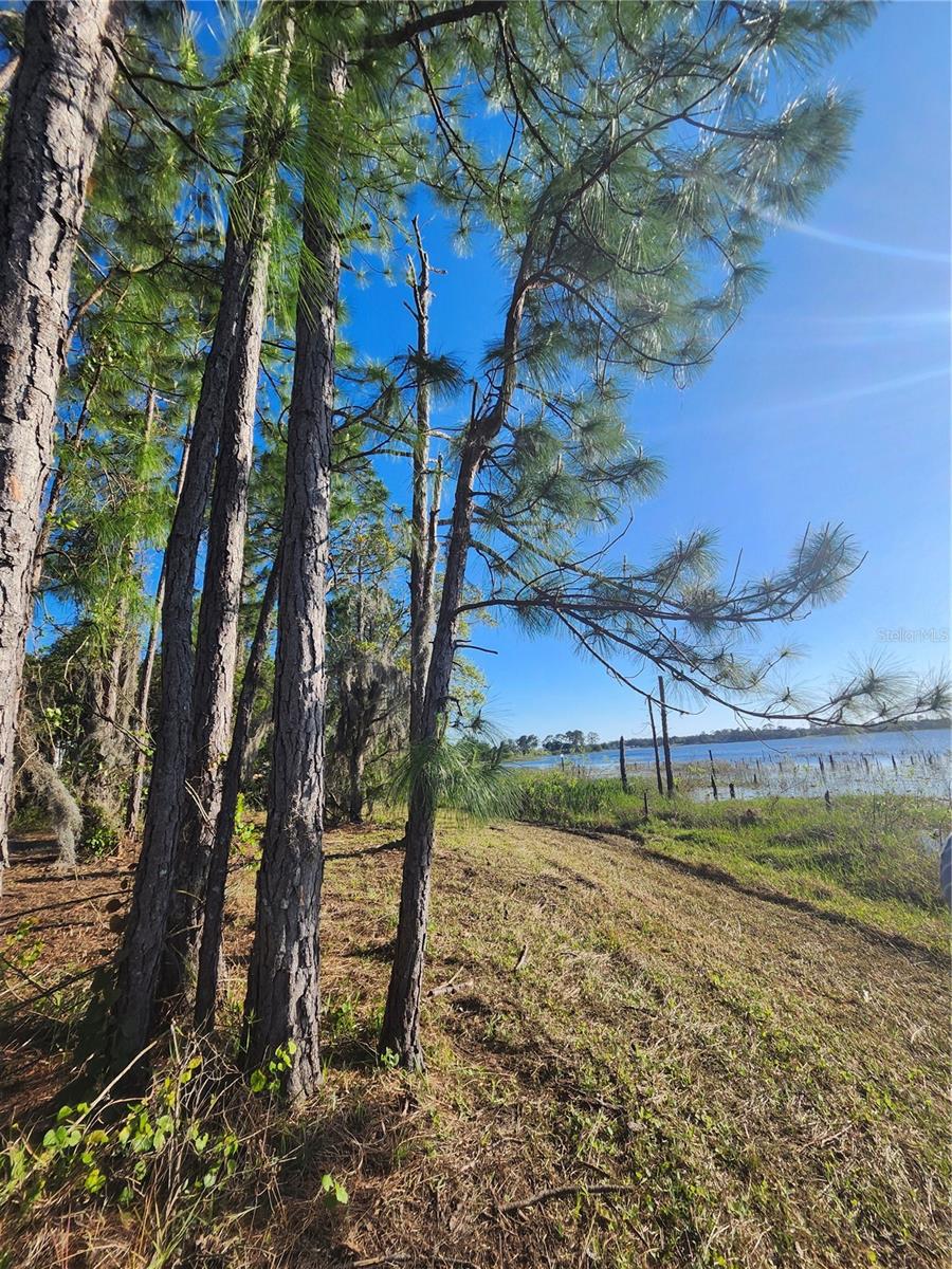 Details for 2332 Mitchell Island Road, DELTONA, FL 32738