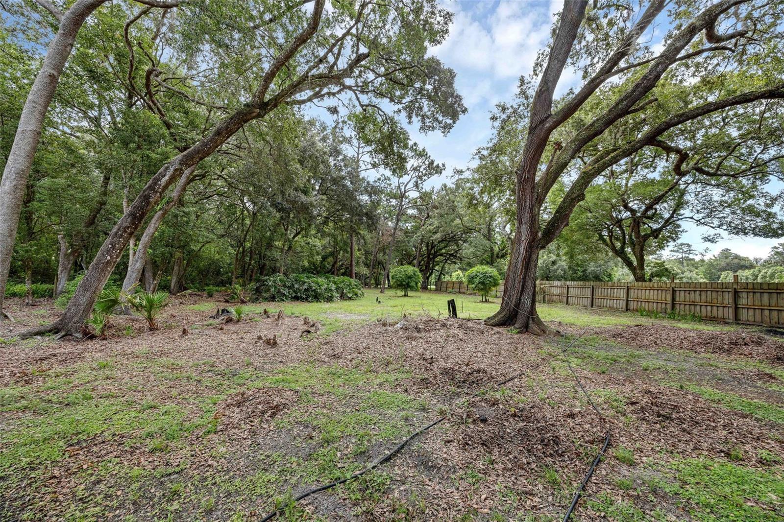 Image 31 of 45 For 7838 Sloewood Drive