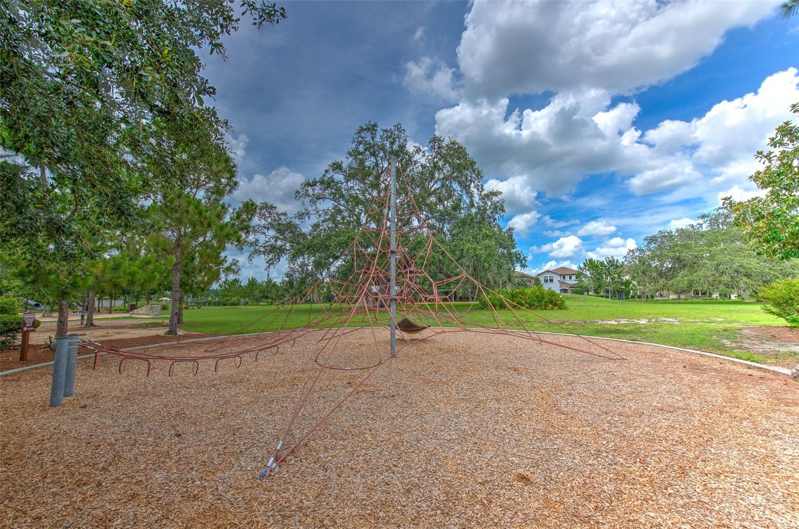 Image 50 of 69 For 12990 Burns Drive
