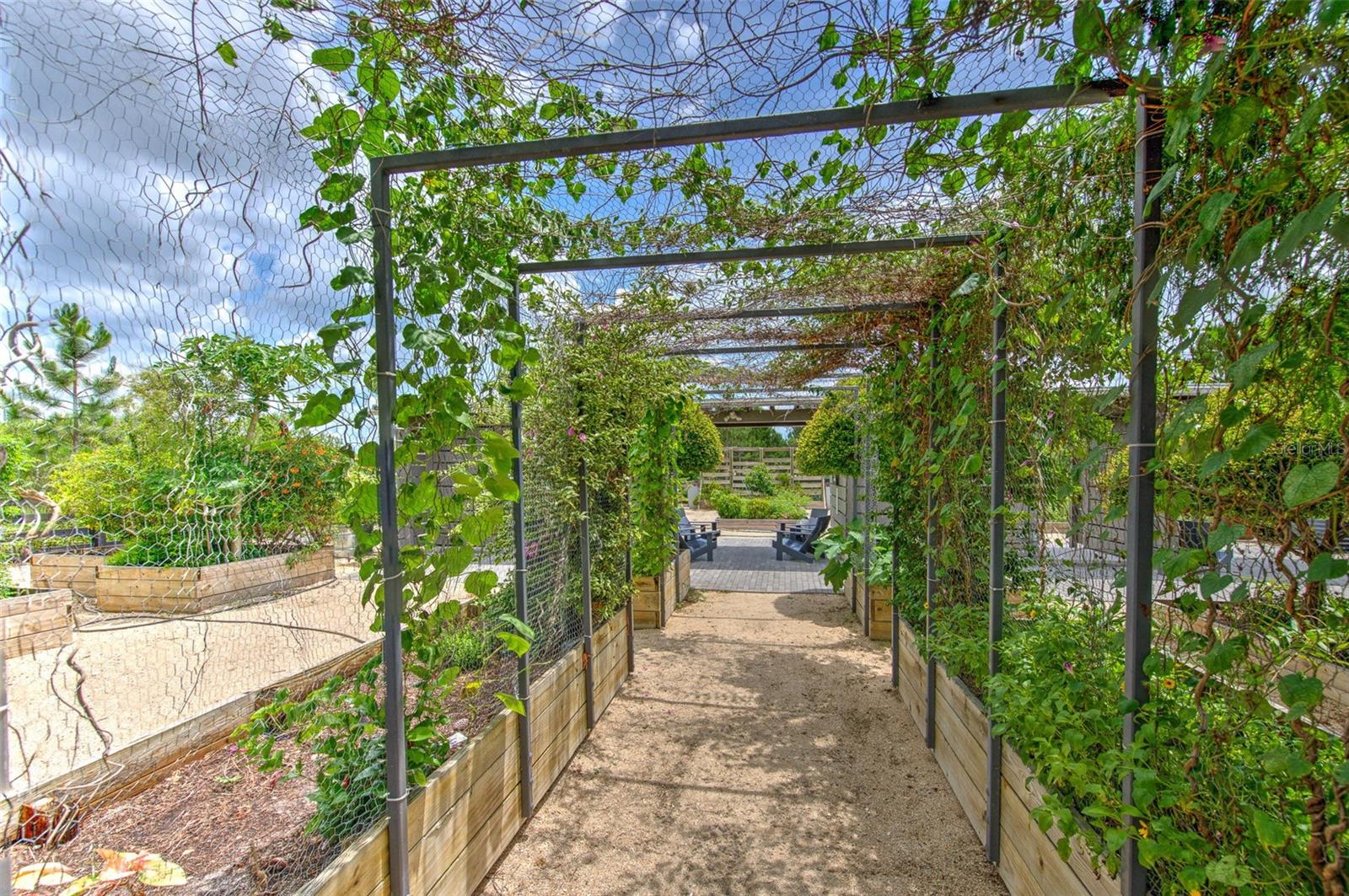 Image 52 of 69 For 12990 Burns Drive