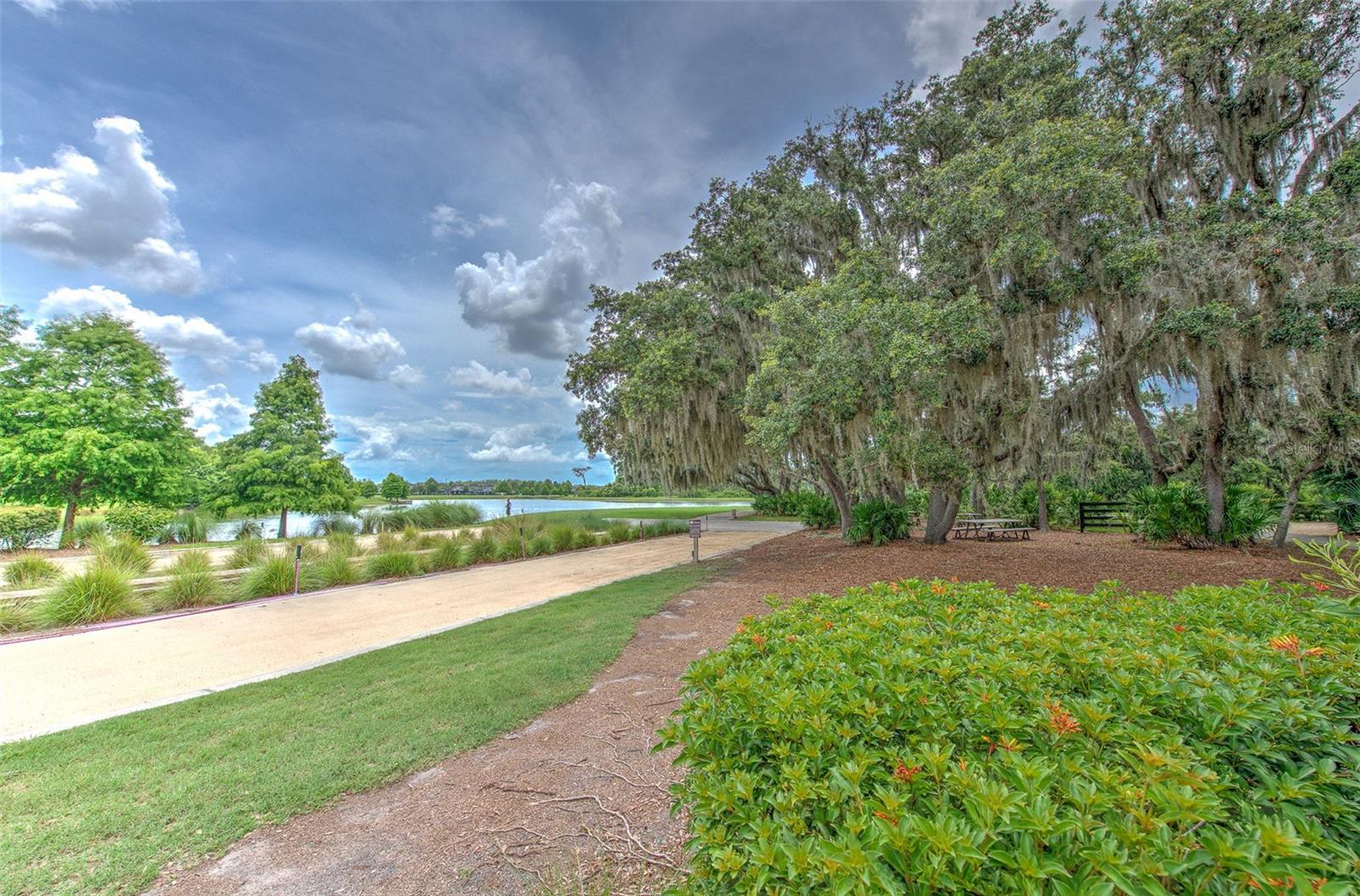 Image 54 of 69 For 12990 Burns Drive