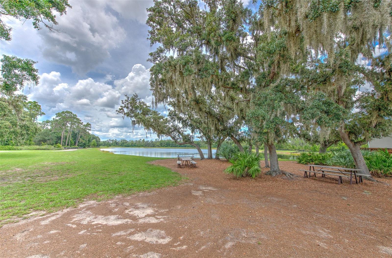 Image 55 of 69 For 12990 Burns Drive