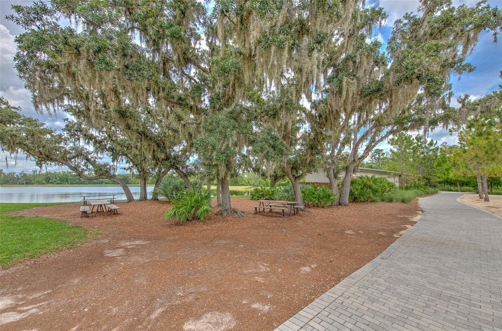 Image 56 of 69 For 12990 Burns Drive