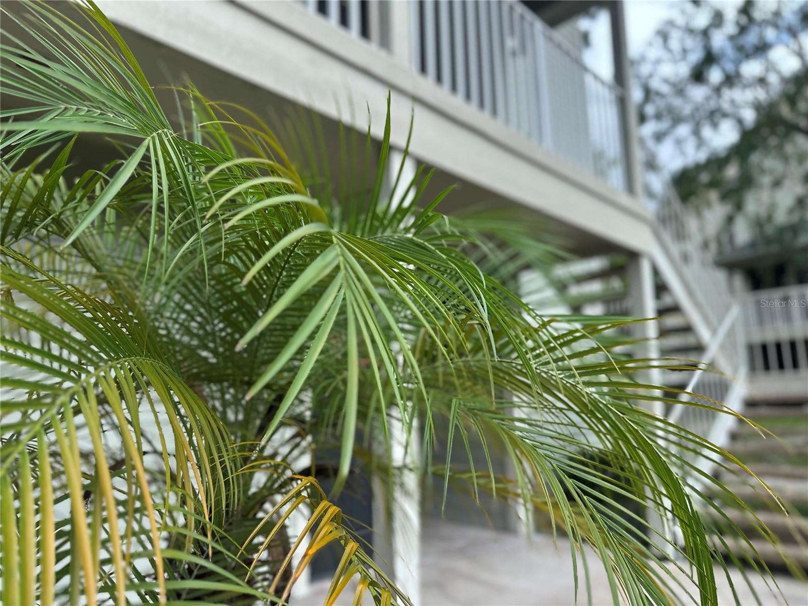 Image 13 of 14 For 6172 Westgate Drive 101