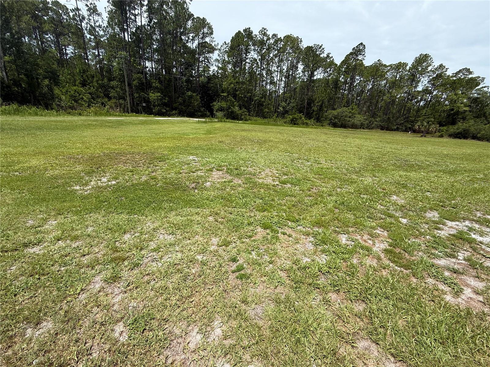 Listing Details for 102 Glenside Street, GEORGETOWN, FL 32139