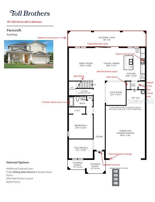 Image 3 of 17 For 2577 Fiddle Leaf Loop