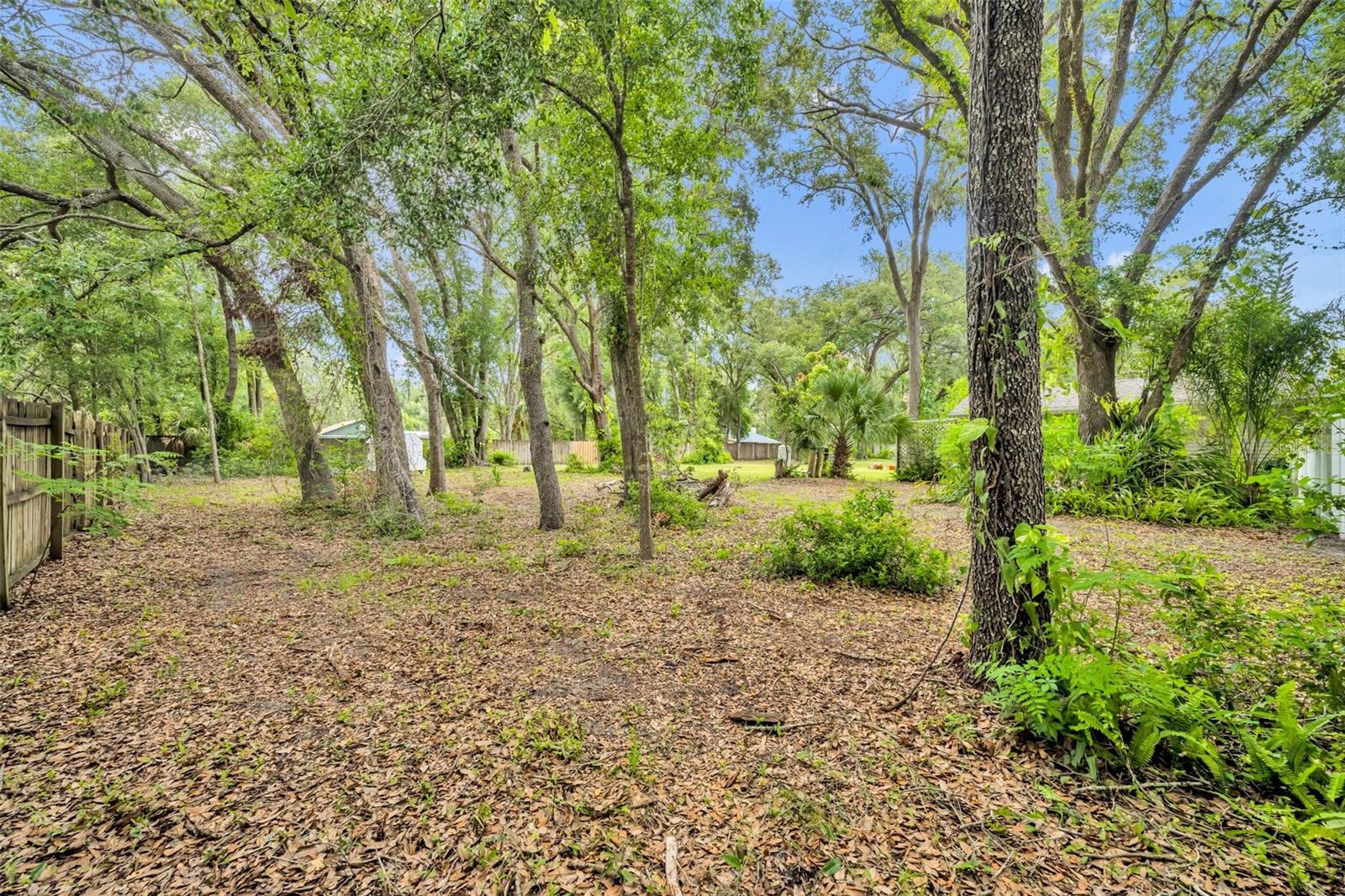 Image 33 of 52 For 21141 Wolf Branch Road