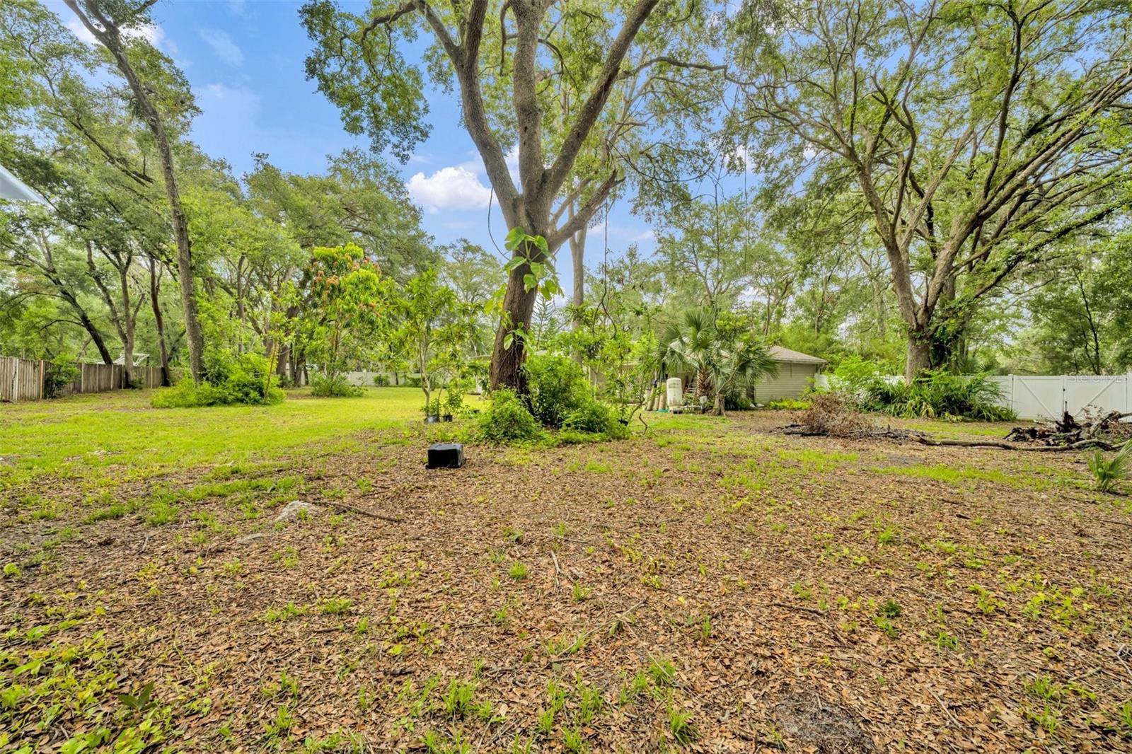 Image 34 of 52 For 21141 Wolf Branch Road