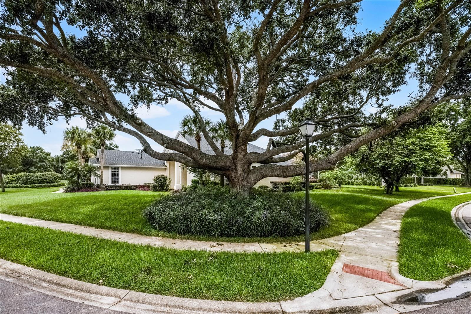 Image 39 of 43 For 11401 Willow Stowe Lane
