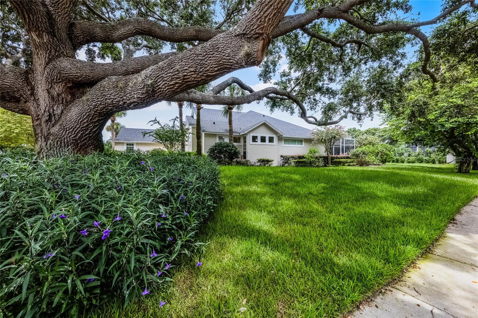 Image 40 of 43 For 11401 Willow Stowe Lane