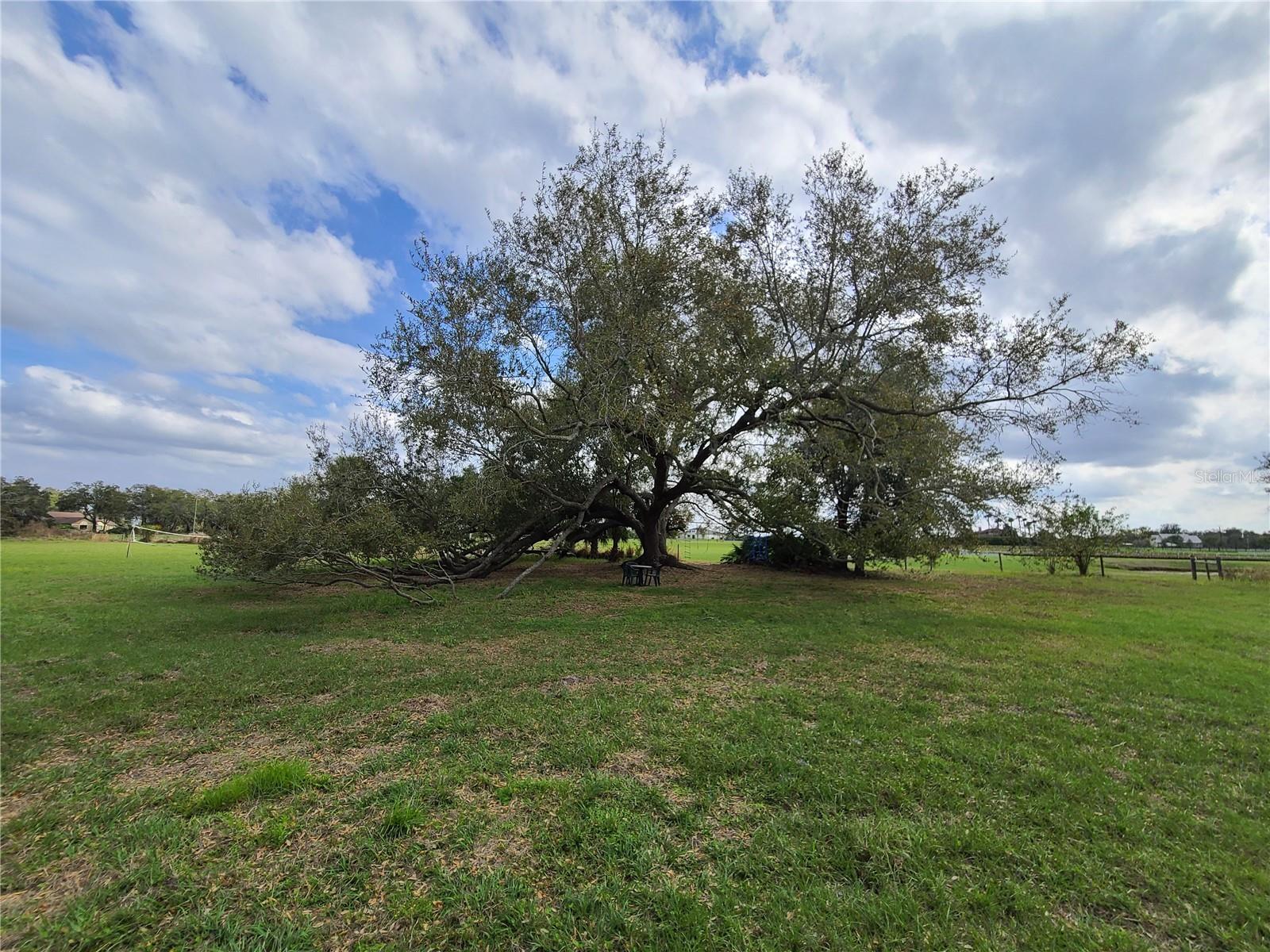 Image 5 of 10 For 3130 Indianola Road