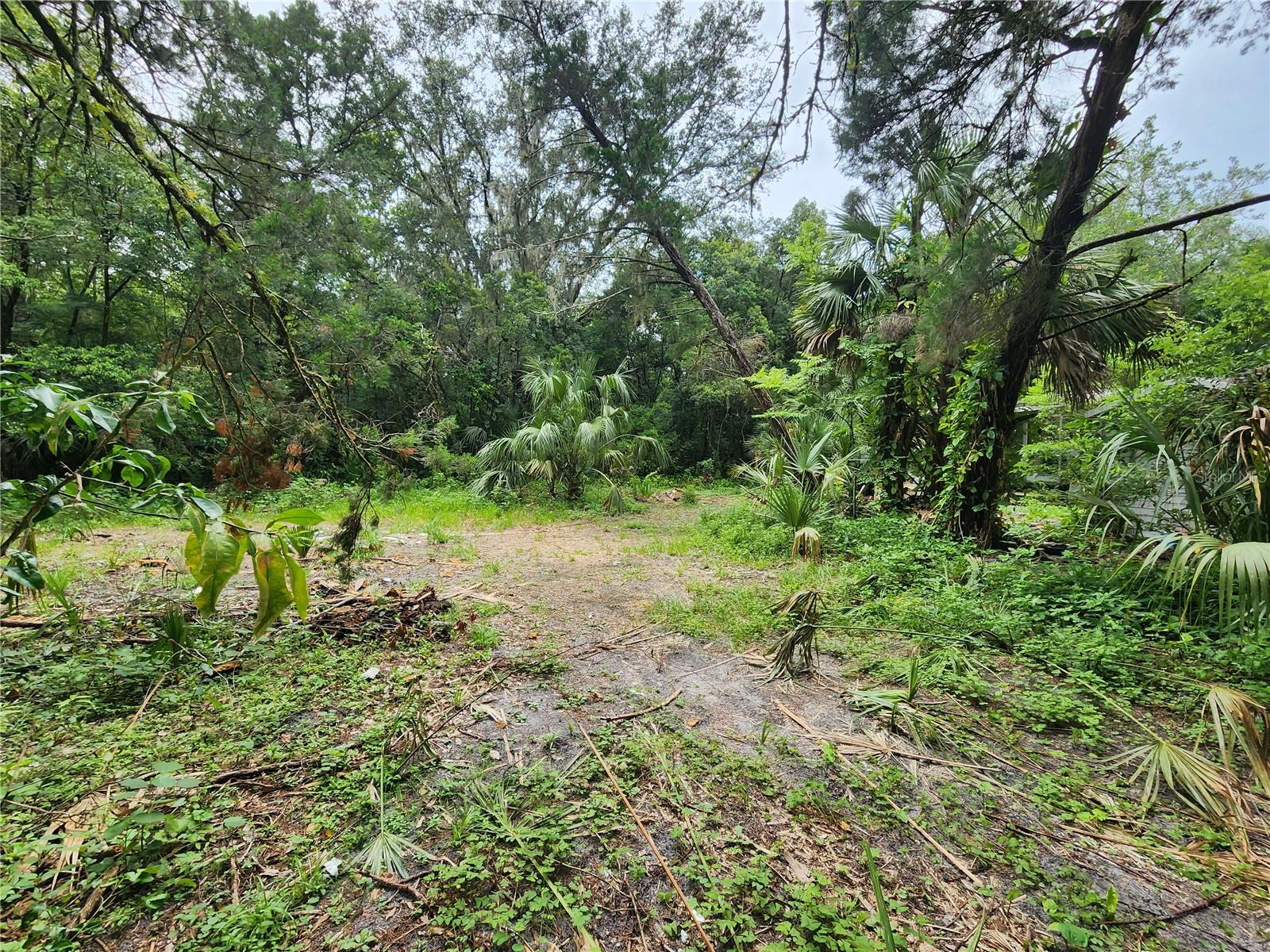 Image 6 of 8 For 32124 Holopaw Trail