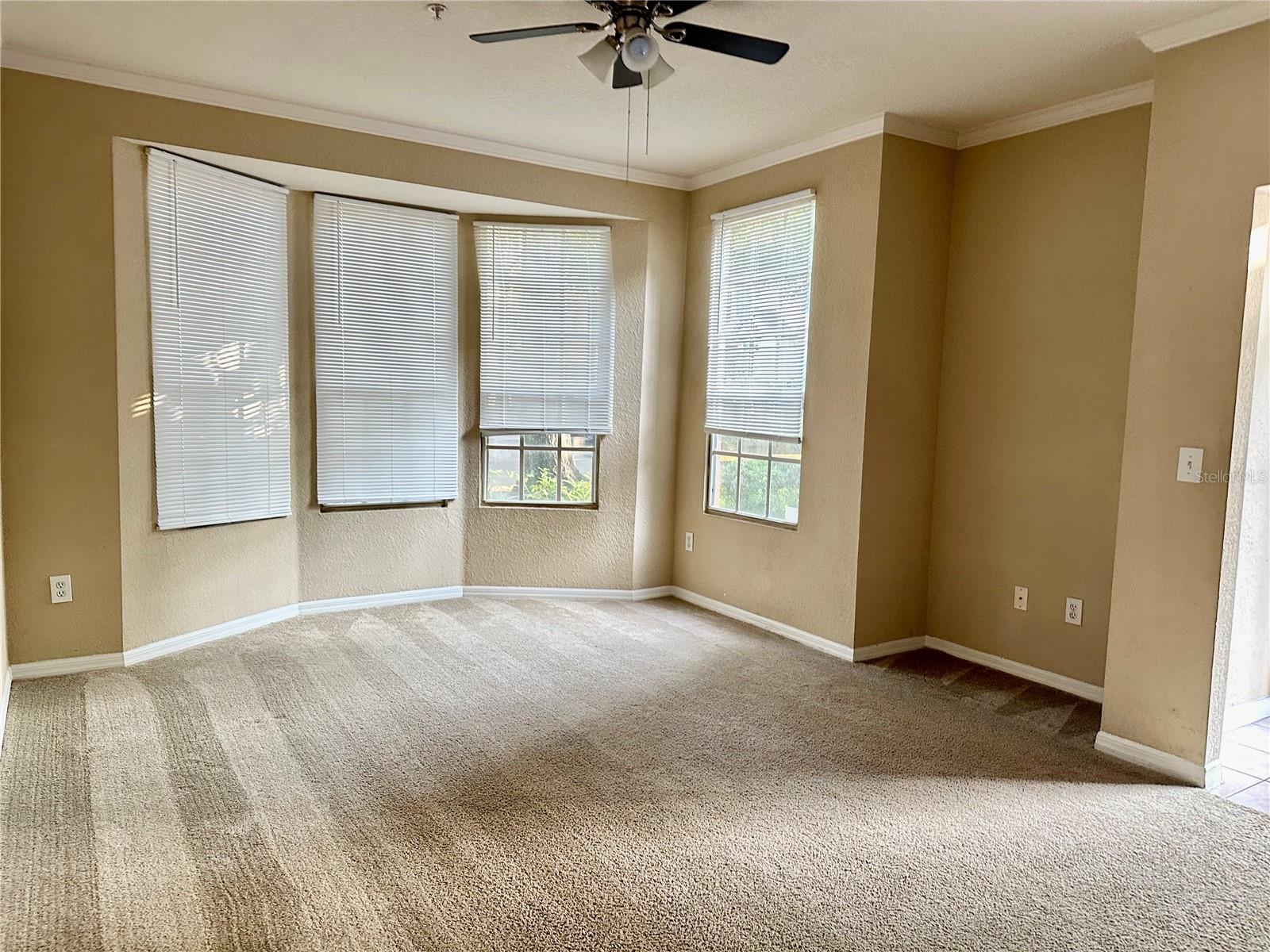 Image 6 of 25 For 6324 Raleigh Street 704