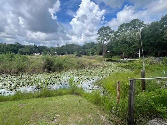 Image 2 of 12 For Lot 31 241 Avenue