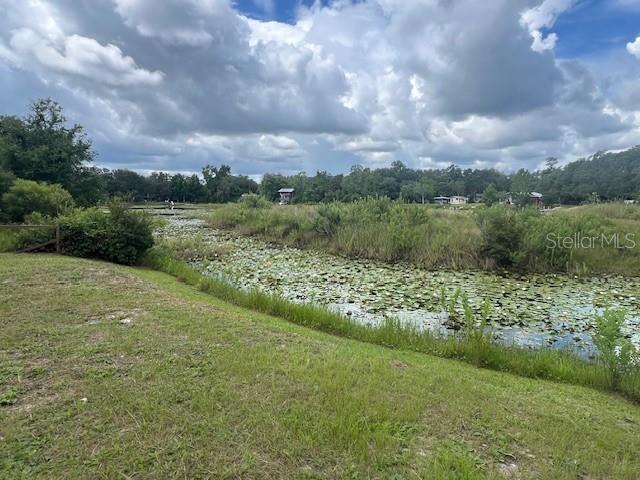 Image 4 of 12 For Lot 31 241 Avenue