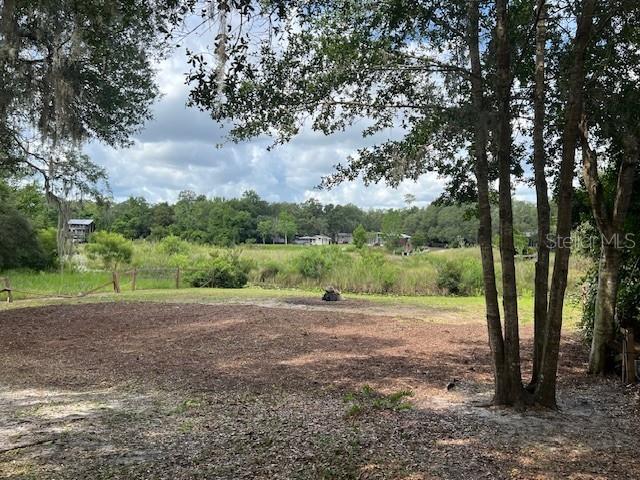 Image 5 of 12 For Lot 31 241 Avenue