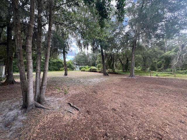 Image 9 of 12 For Lot 31 241 Avenue