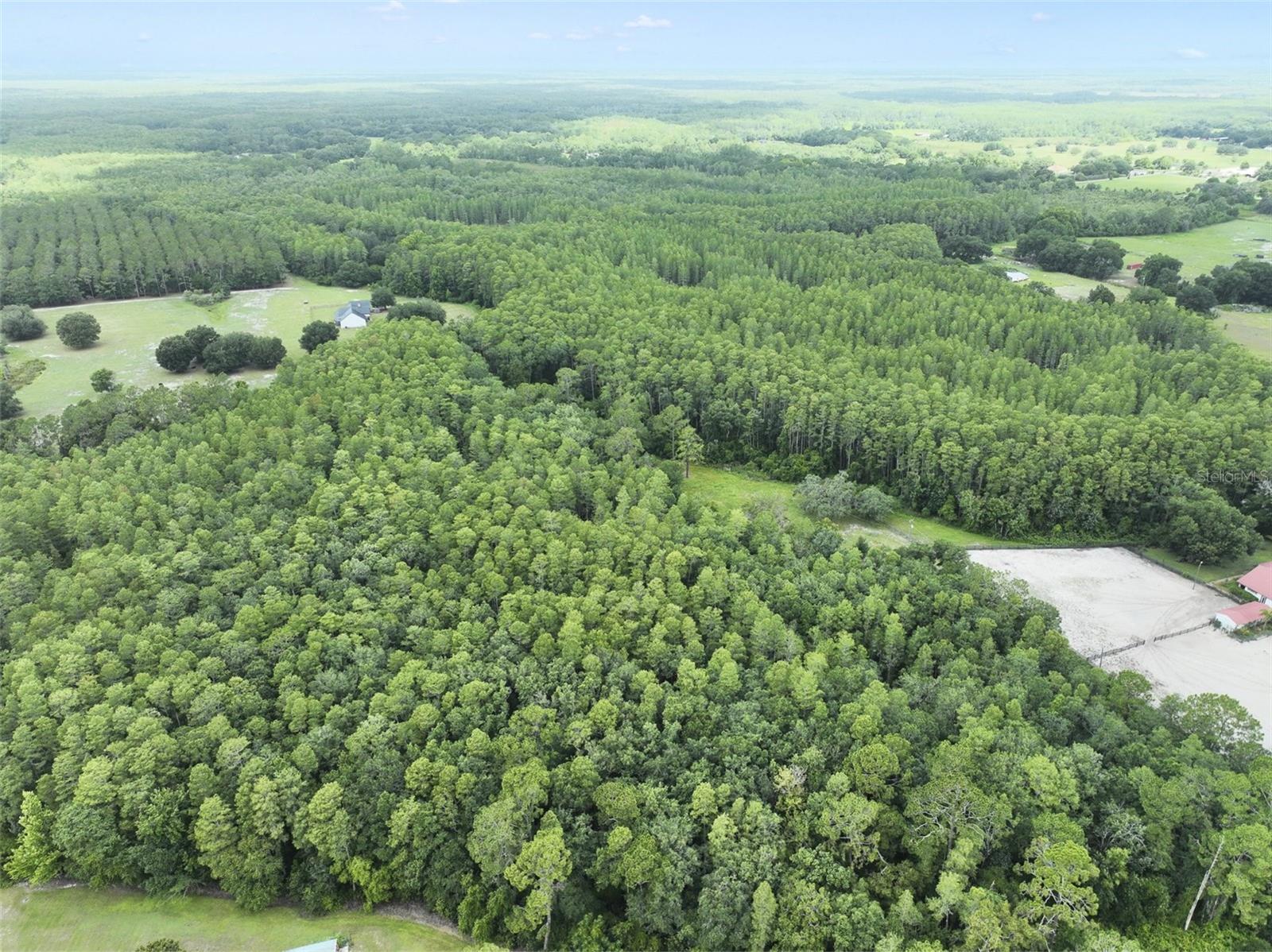 Image 3 of 11 For 8449 Bay Lake Road