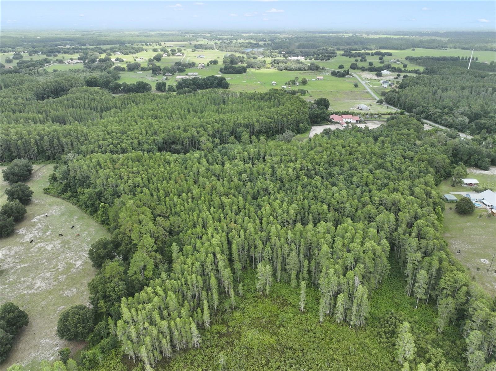 Image 4 of 11 For 8449 Bay Lake Road