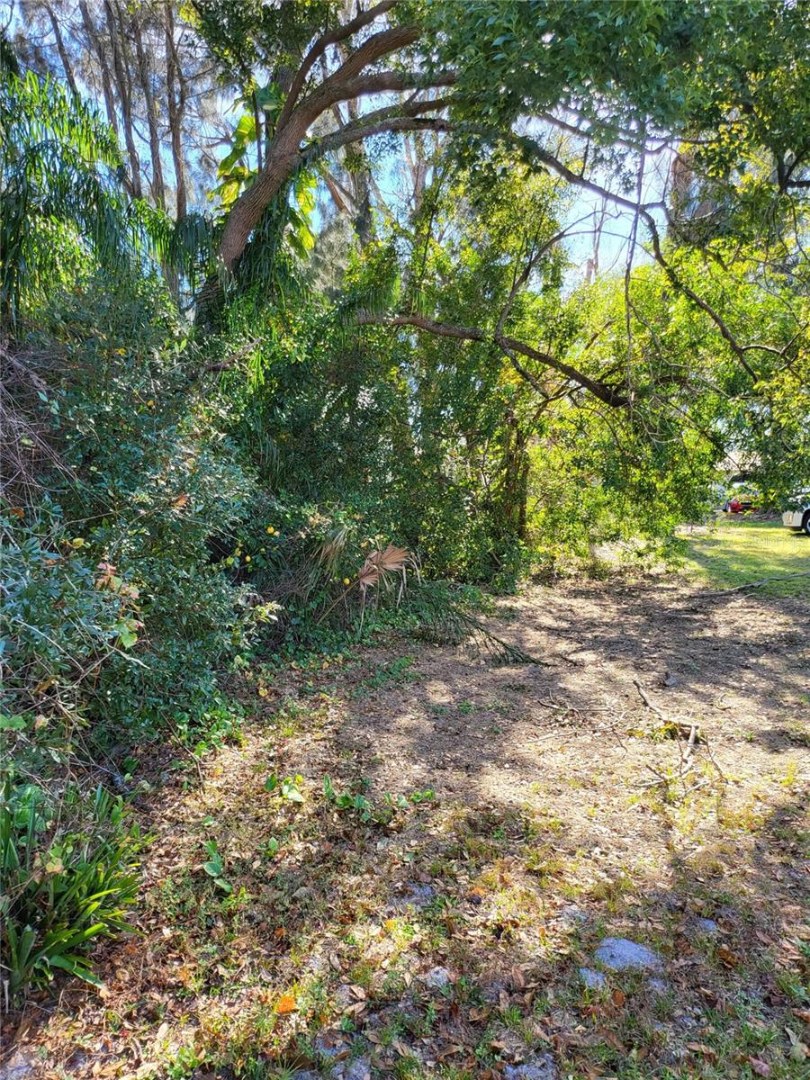 Image 8 of 14 For 2131 Coachman Road
