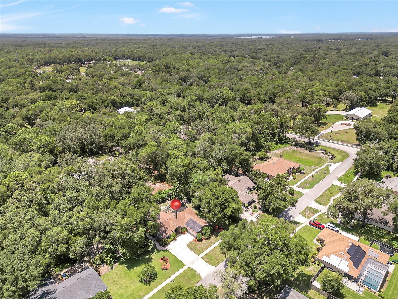 Image 33 of 43 For 205 White Dove Avenue