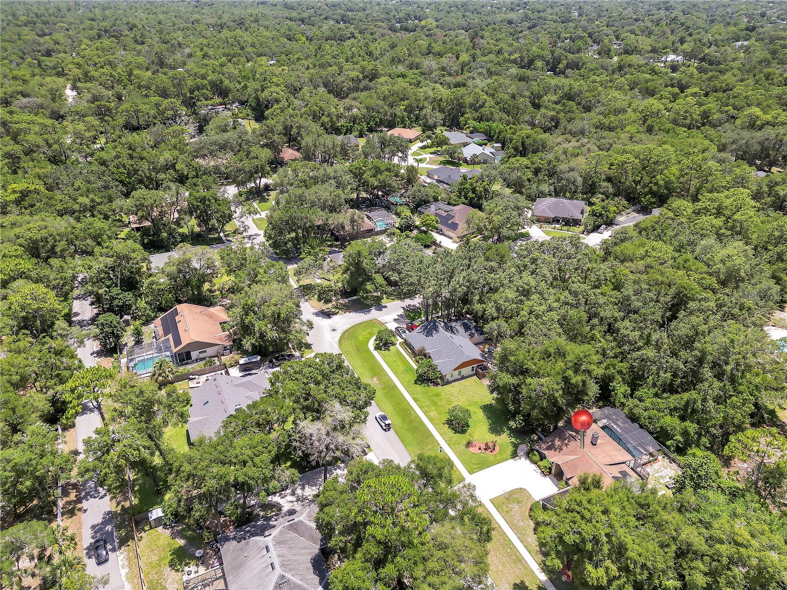 Image 34 of 43 For 205 White Dove Avenue