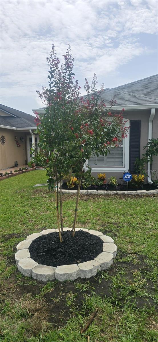 Image 3 of 26 For 458 Cadenza Drive