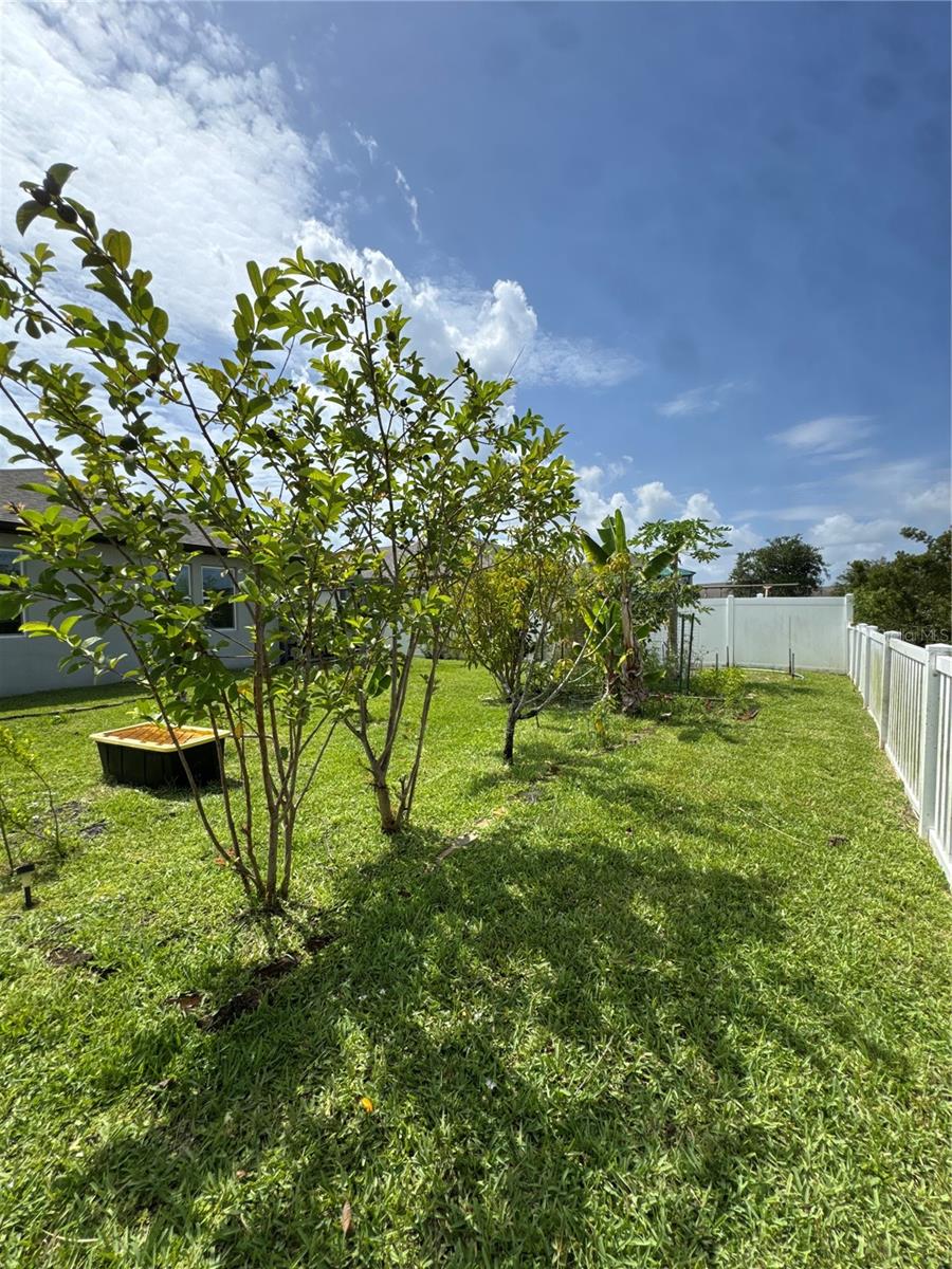 Image 32 of 33 For 2741 Neverland Drive