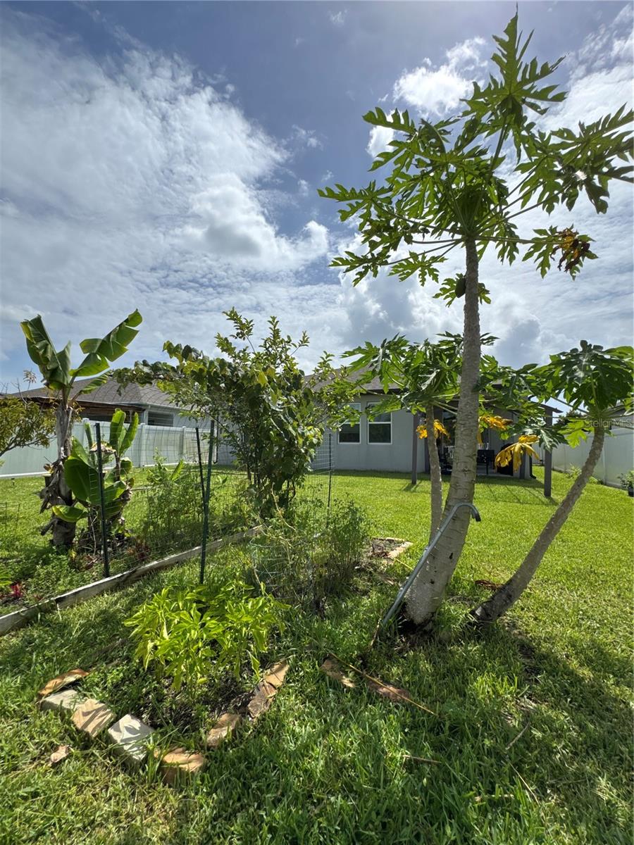 Image 33 of 33 For 2741 Neverland Drive