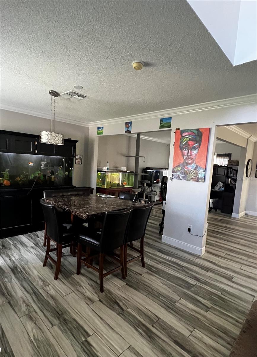 Image 2 of 15 For 29 Catalina Court