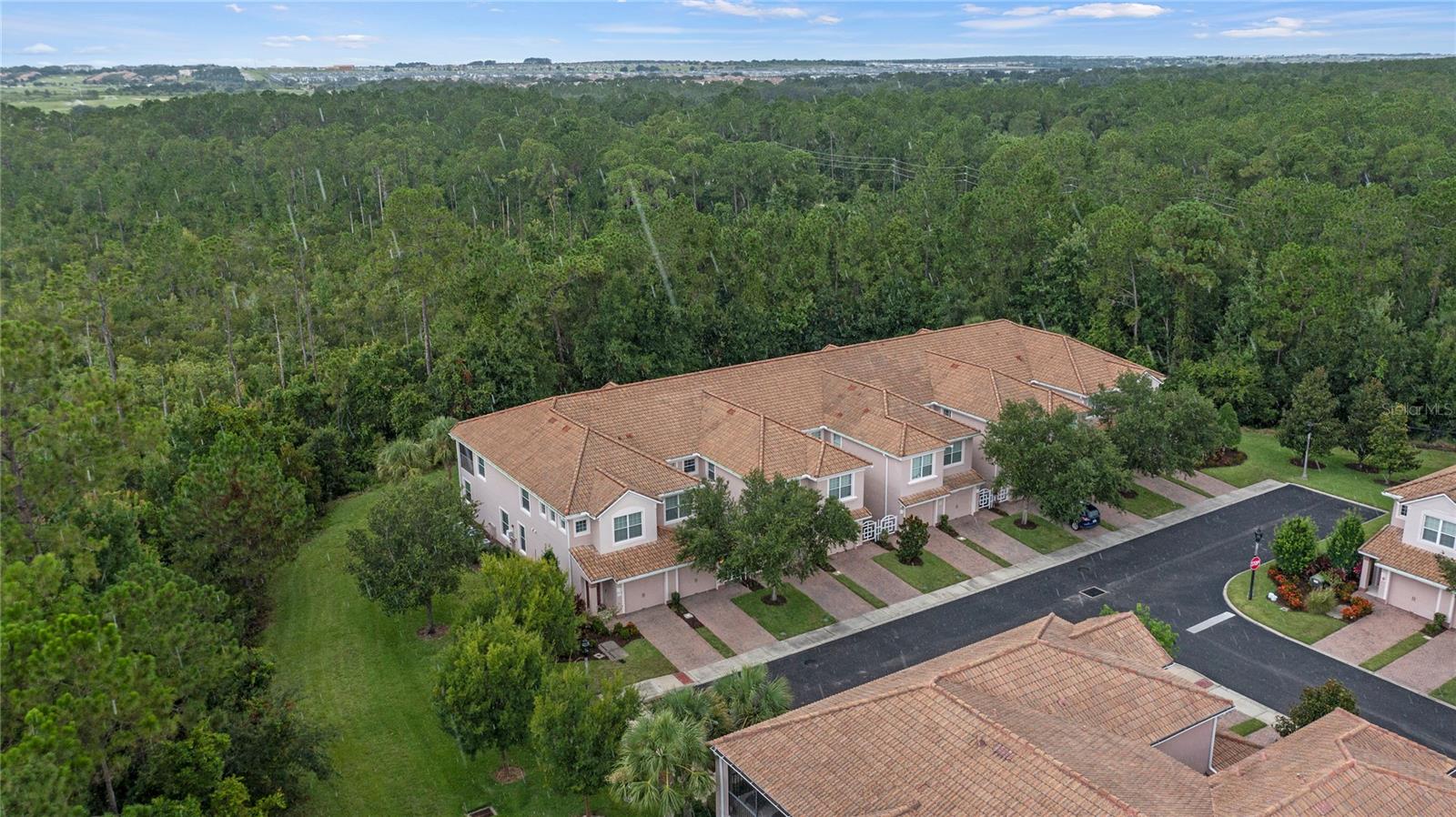 Image 38 of 68 For 8362 Bella Tierra Court