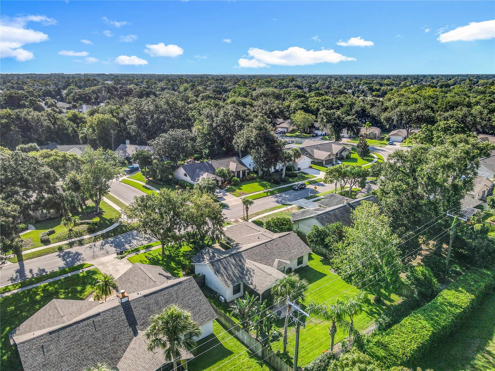 Image 55 of 66 For 4039 Waterbridge Circle