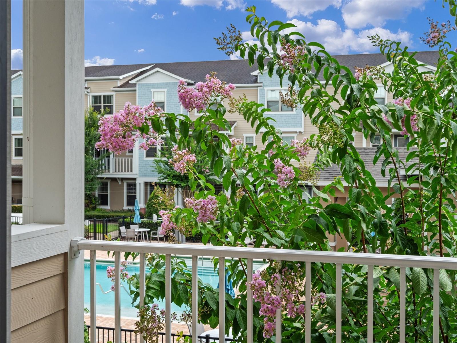 Image 33 of 60 For 465 Portico Court