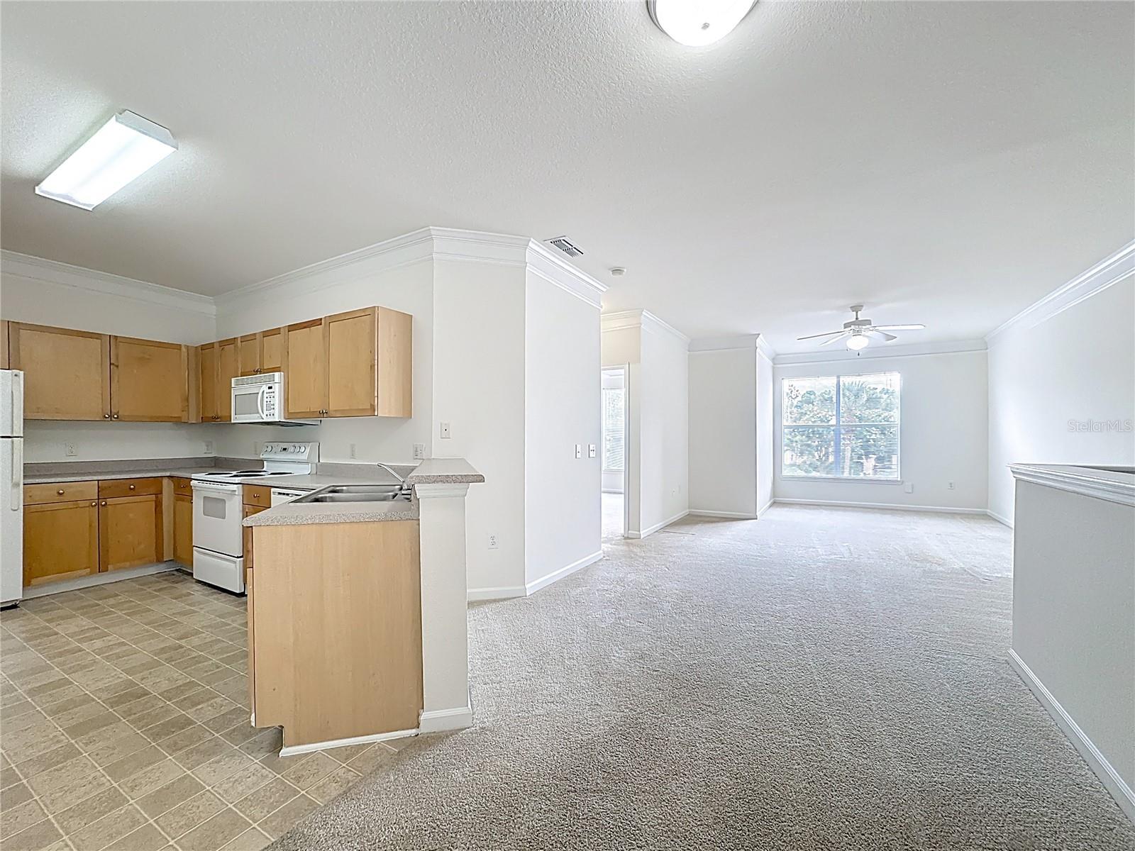 Image 4 of 38 For 8801 Villa View Circle 202