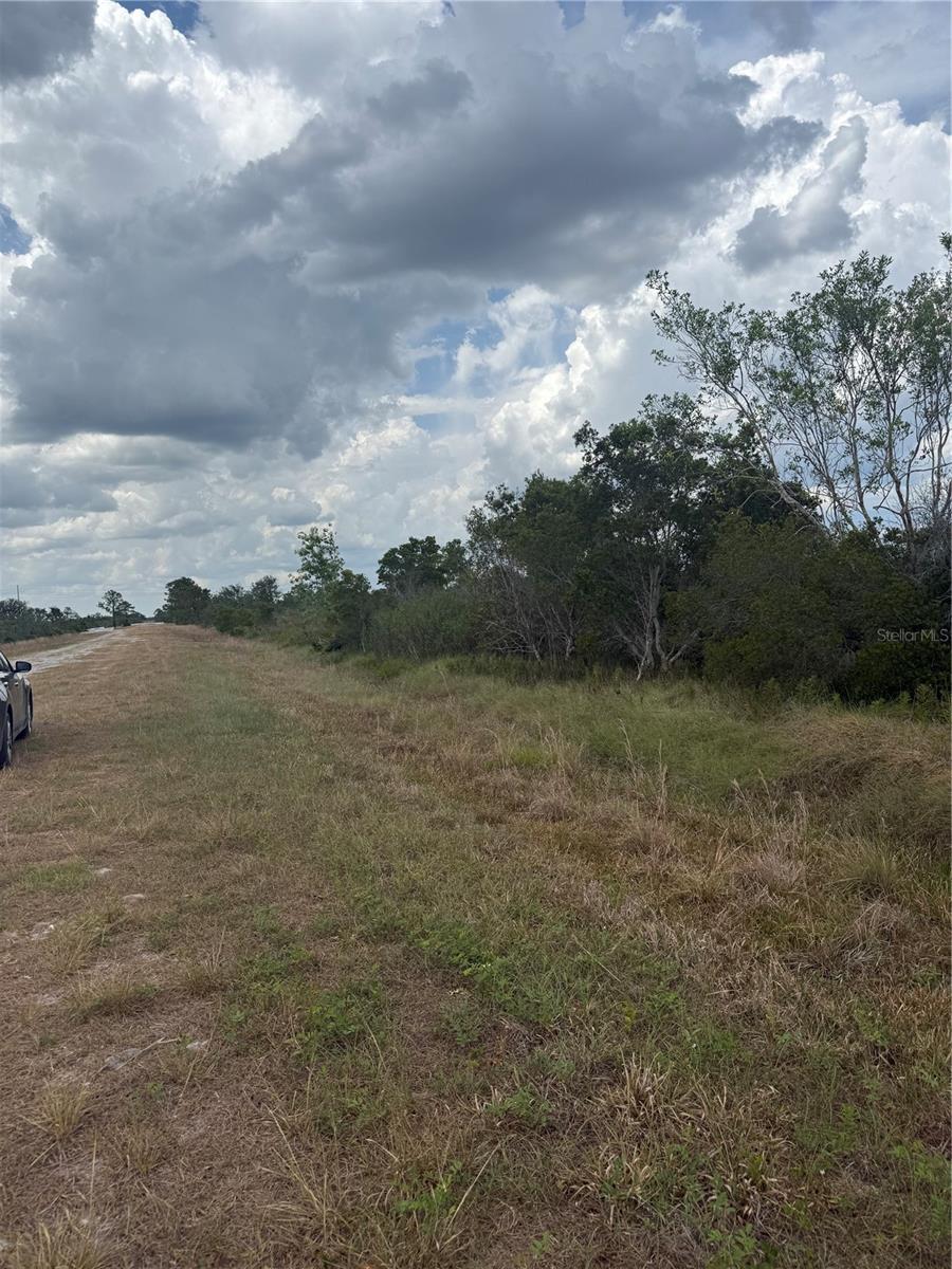 Details for 1565 Reed Road, AVON PARK, FL 33825