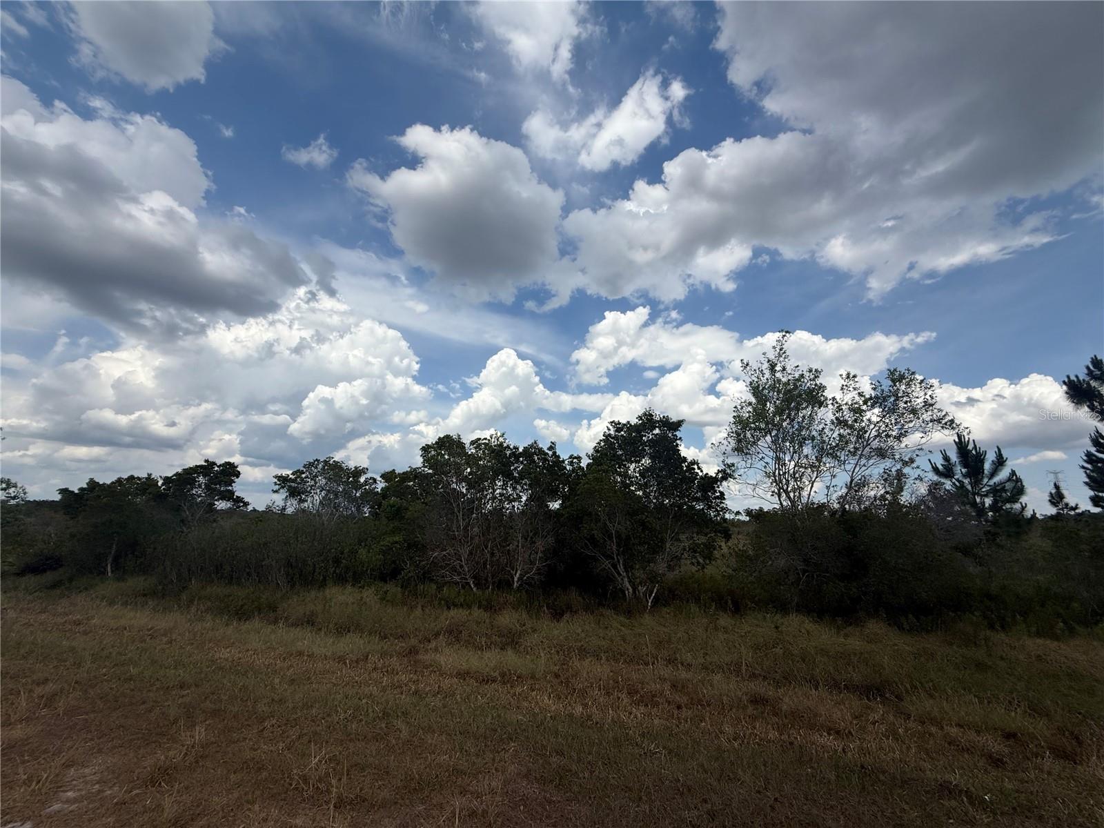 Image 2 of 5 For 1565 Reed Road