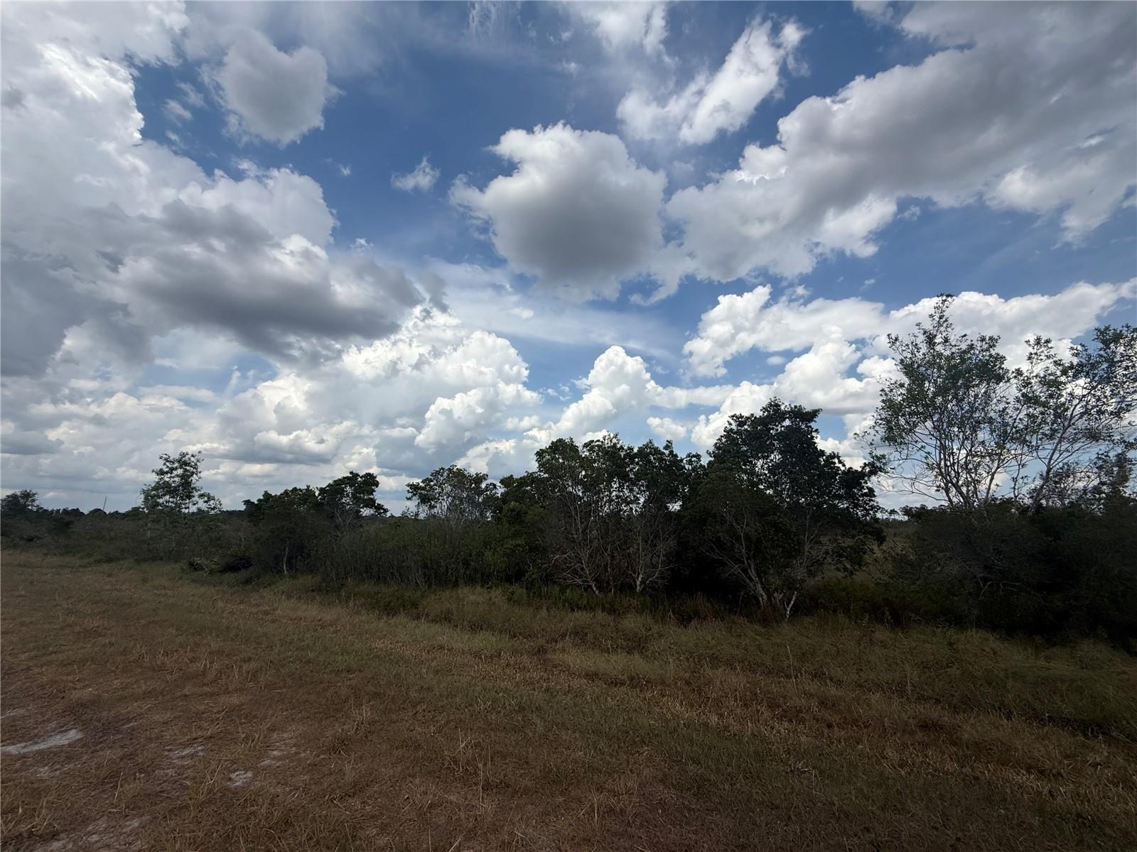 Image 4 of 5 For 1565 Reed Road