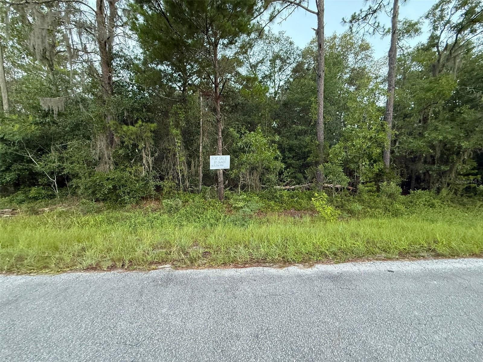 Details for 905 Hillsborough, FLORAHOME, FL 32140