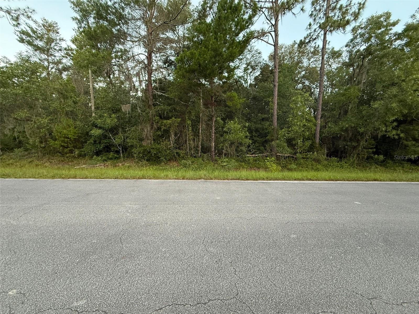 Image 2 of 11 For 905 Hillsborough