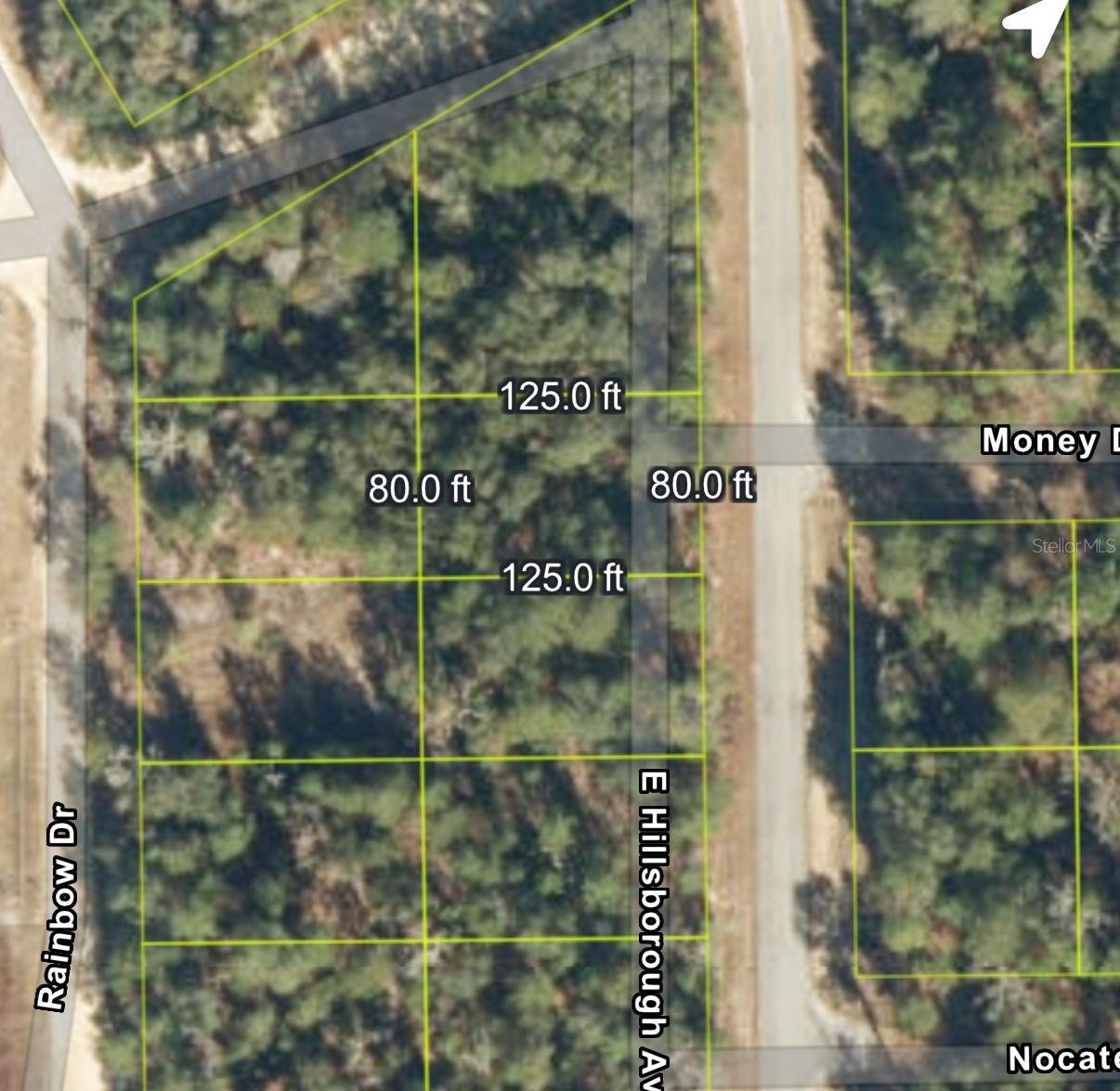 Image 10 of 11 For 905 Hillsborough Avenue