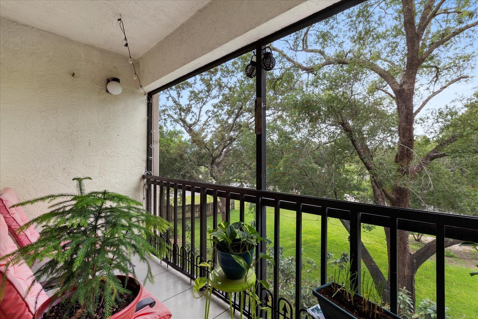 Image 17 of 22 For 1036 Bonaire Drive 2834