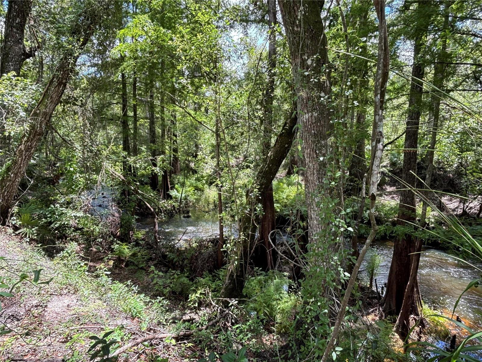 Image 11 of 13 For 4249 129th Boulevard