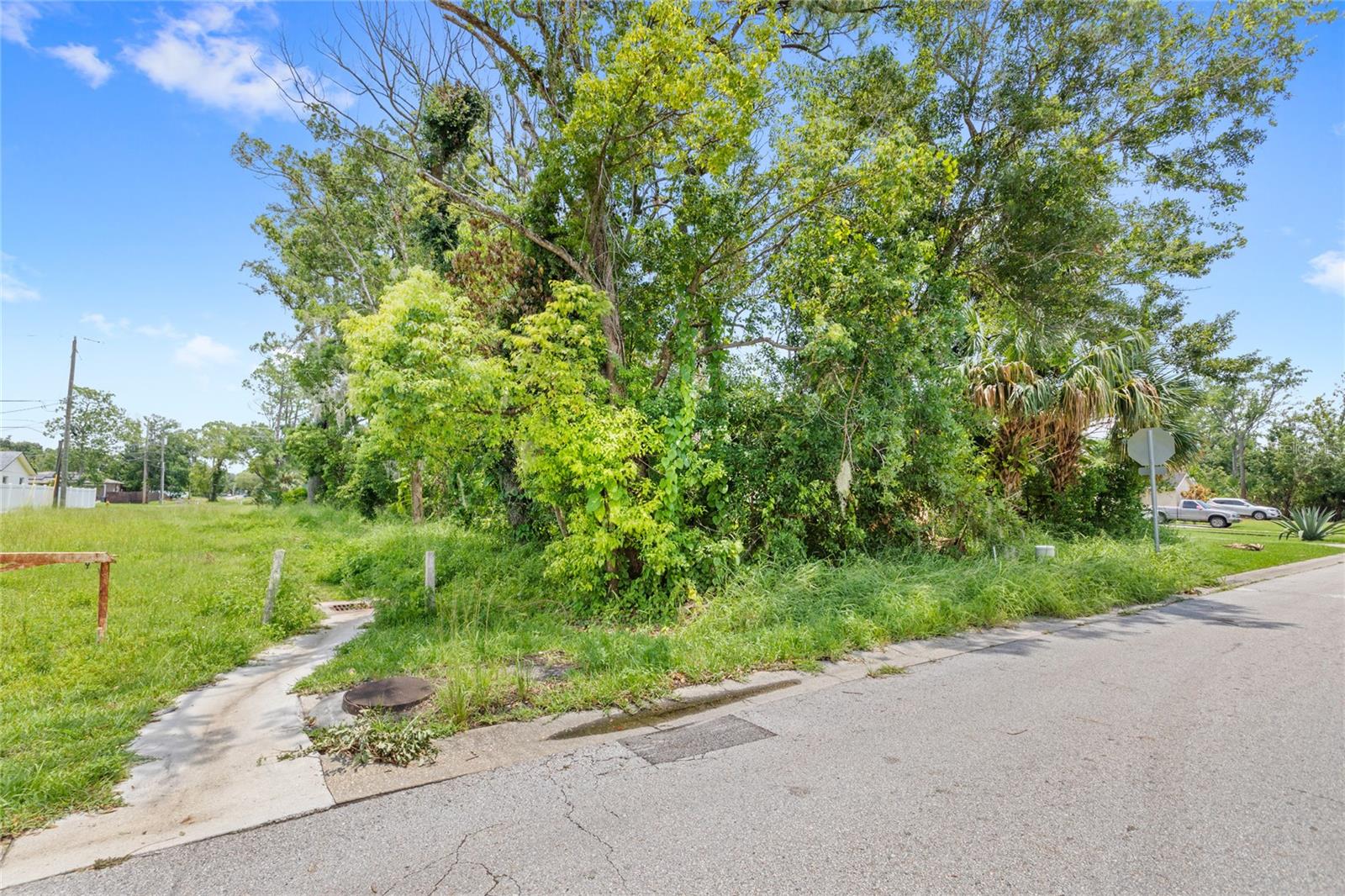 Image 3 of 5 For 101 Hartwell Avenue