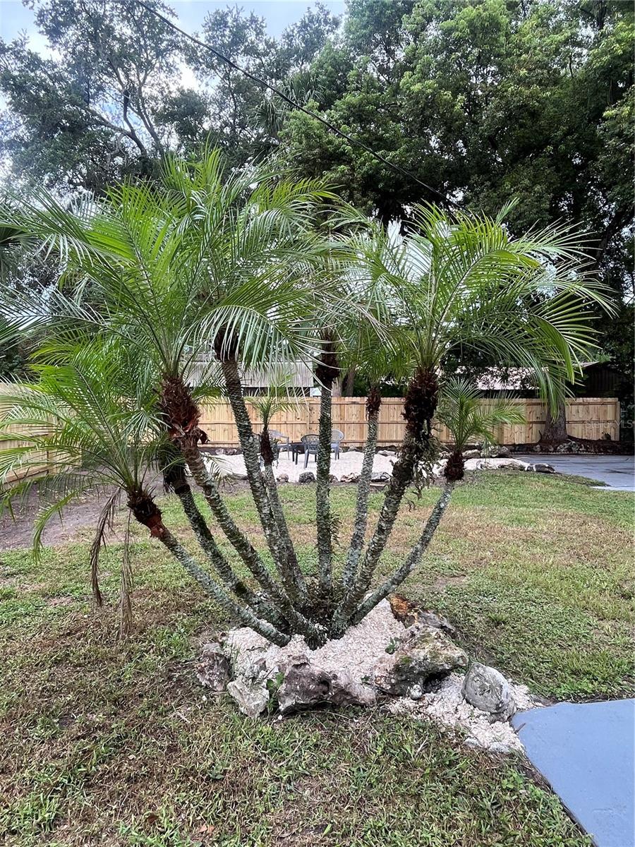 Image 22 of 28 For 811 Escambia Drive