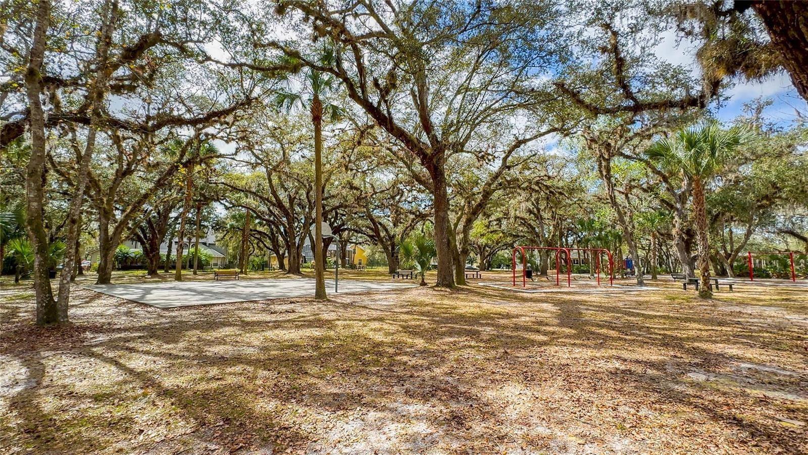 Image 42 of 44 For 13122 Honey Locust Drive