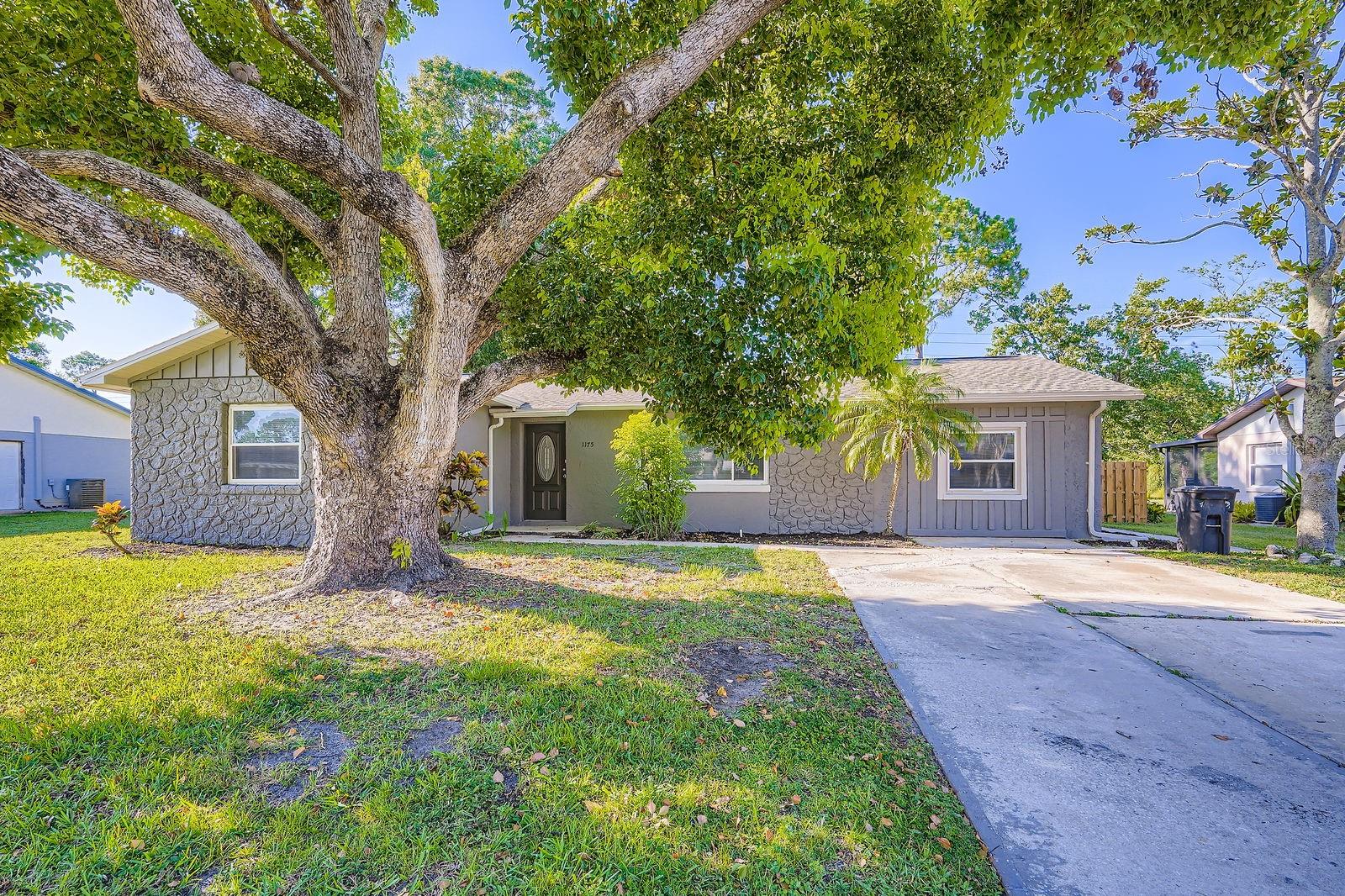 Details for 1175 Tracy Drive, PORT ORANGE, FL 32129