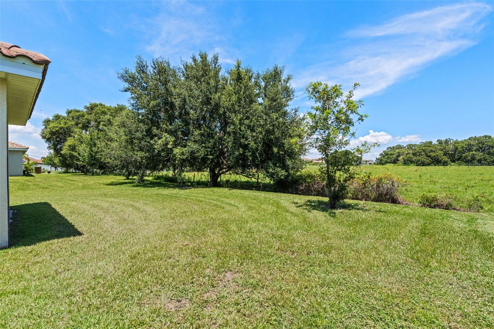 Image 41 of 65 For 1330 Bucktail Court