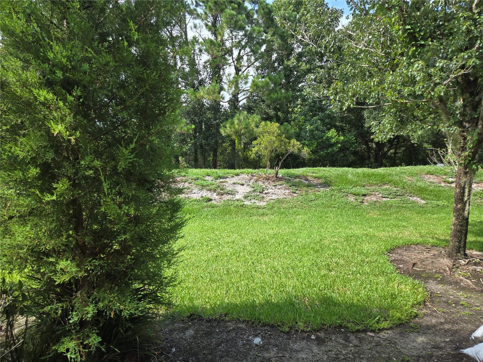 Image 3 of 29 For 1908 Garden Sage Drive