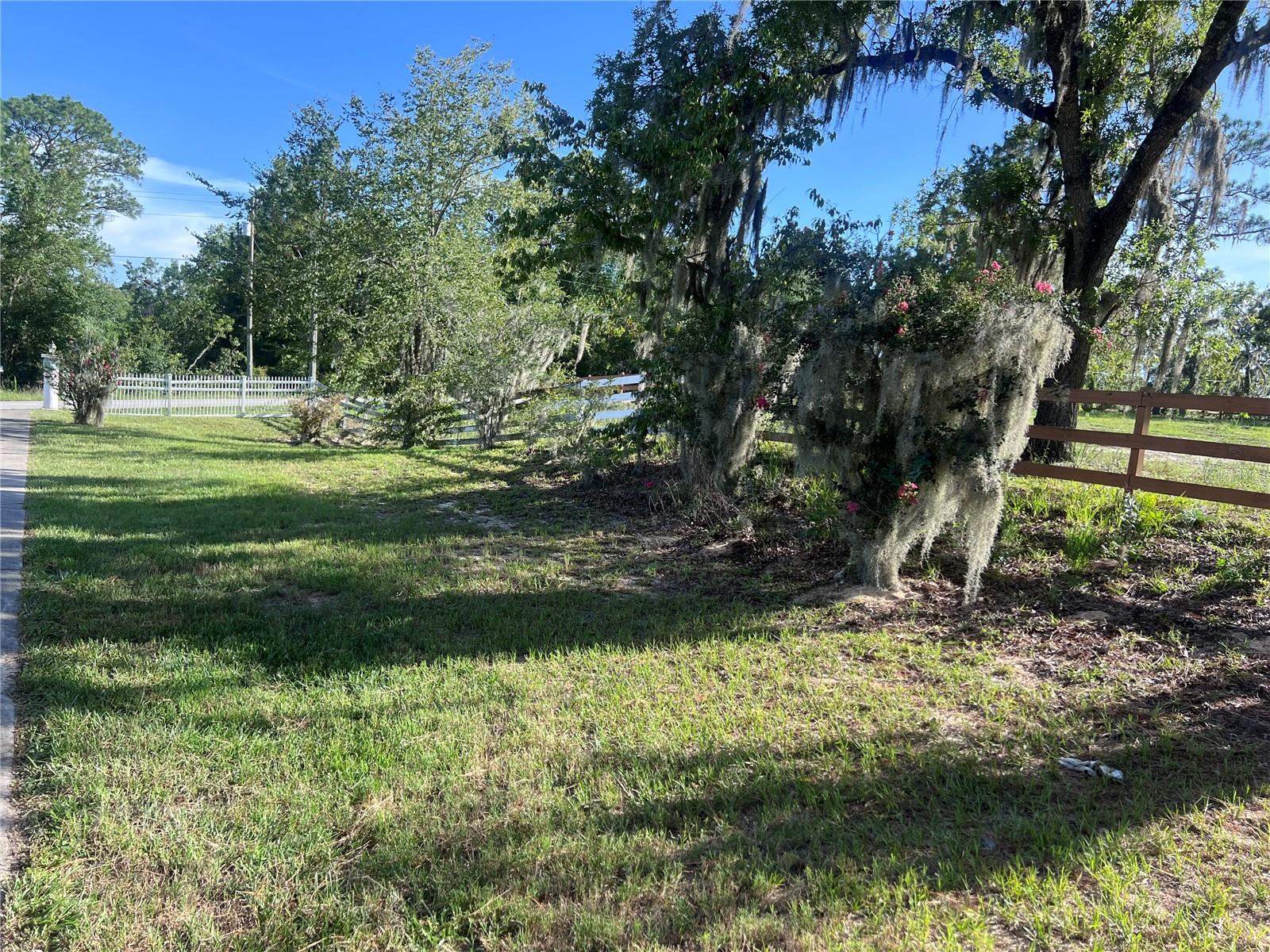 Listing photo id 3 for 2515 Hampshire Street